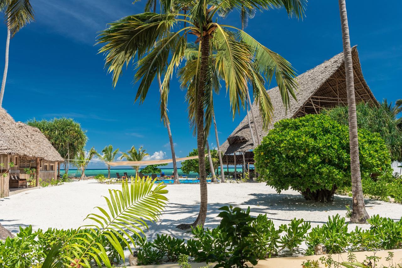 Zanzibar Magic Boutique Hotel マテムウェ エクステリア 写真